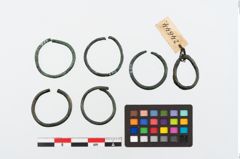 Foto von Bronzering (NHMW-PRAE-024644)